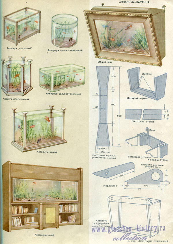 akvarium_k.jpg