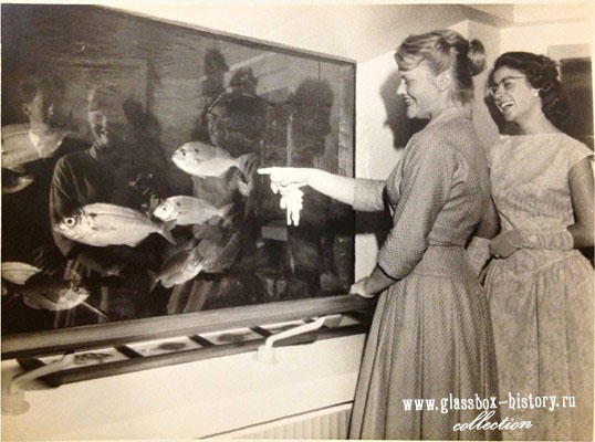 aquarium_1959_k.jpg