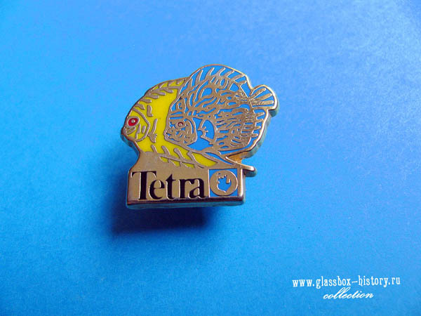 tetra_1_k_0.jpg