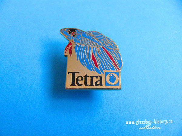 tetra_2_k.jpg