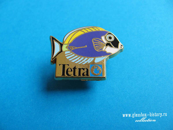 tetra_3_k.jpg