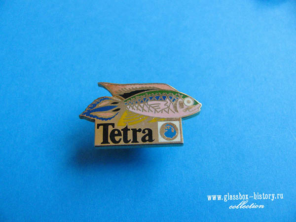 tetra_4_k.jpg
