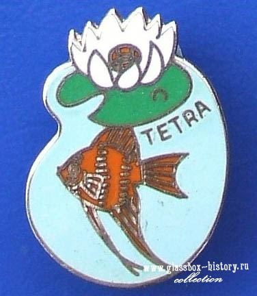 tetra_6_k.jpg