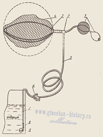 image_1_1.jpg