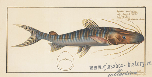 index85_1_1.jpg