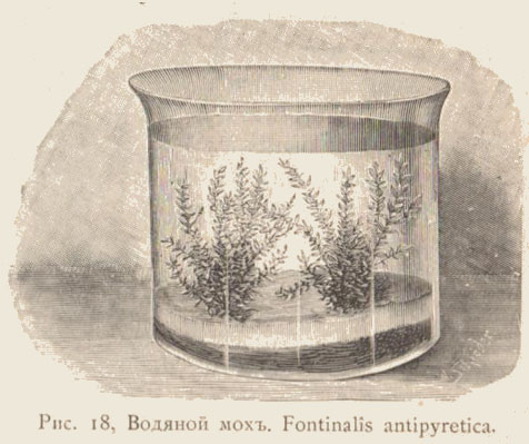 font.jpg
