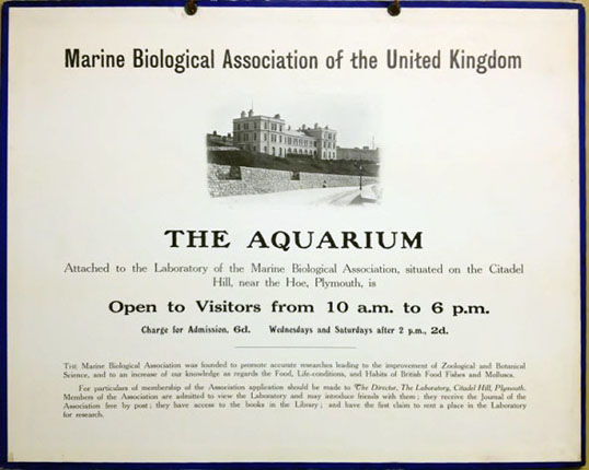 mq1.1_dig_aquarium_admission_notice_web_.jpg
