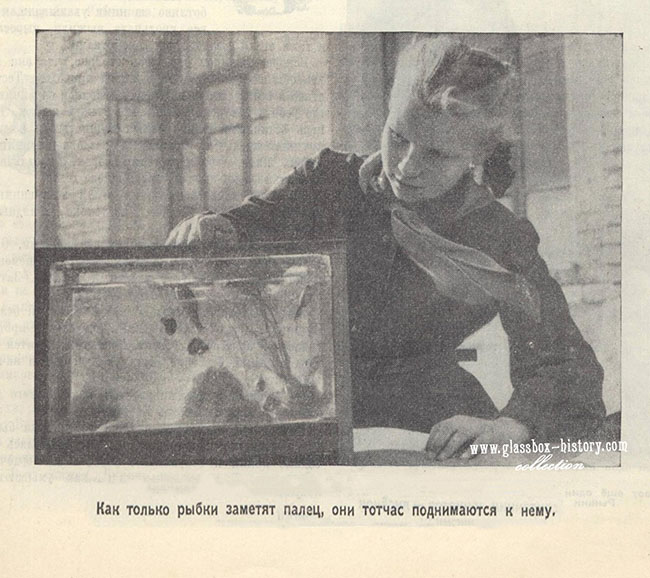 pioneer_magazine_1955-03_0074_k_0.jpg
