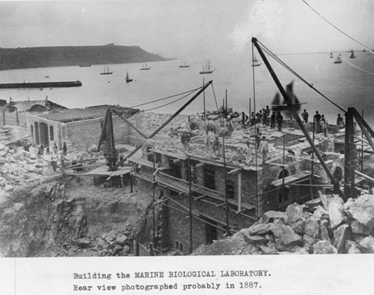 uf452_dig_construction_of_lab_web.jpg